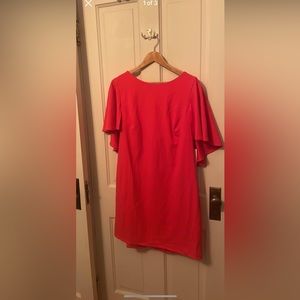 NWT CALVIN KLEIN DRESS